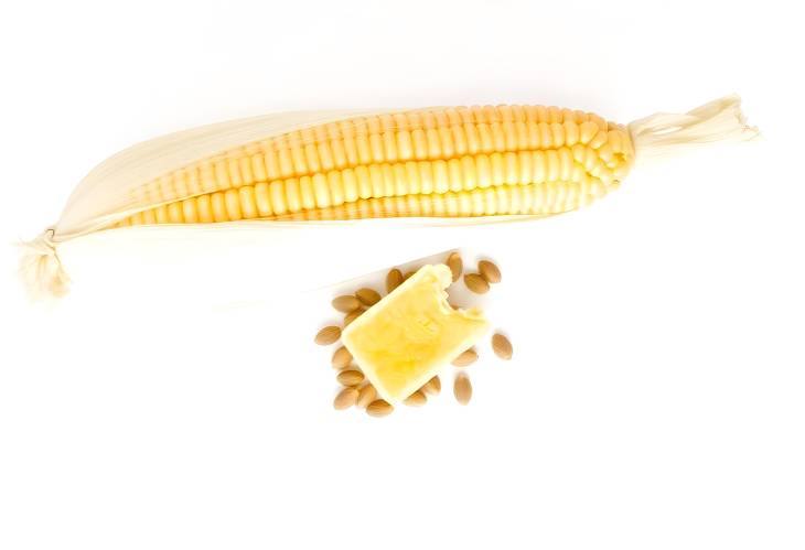 Peeled Corn and Its Seeds A Fresh PerspectivePeeled Corn and Its Seeds A Fresh Perspective